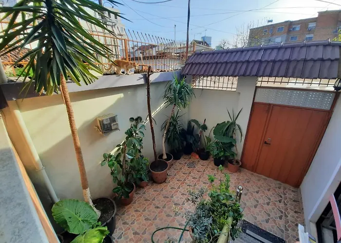 فندق مبيت وإفطار 53 تيرانا