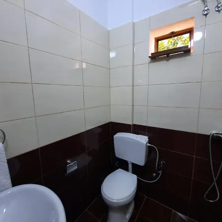 53 Tirana